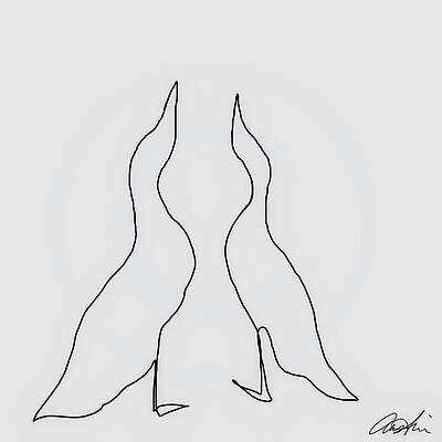 Wall Art - Drawing - Lovely Geese by Callie Austin