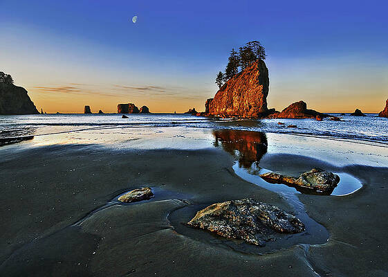 Morning Low Tide at Second Beach by John Christopher Morning Low Tide at Second Beach by John Christopher