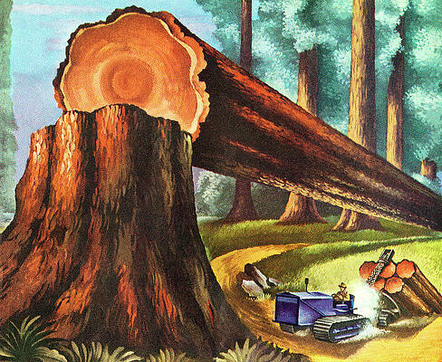 Wall Art - Drawing - Lumber Industry by CSA Images