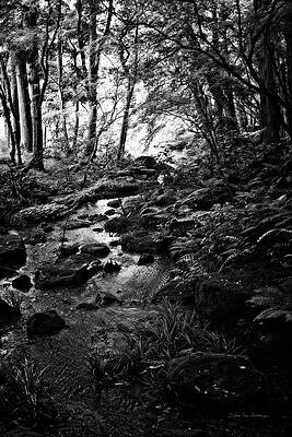 Monochromatic Landscape Paintings Fine Art America