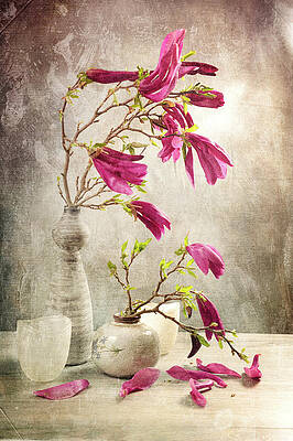 Wall Art - Photograph - Magnificent Magnolia by Randi Grace Nilsberg