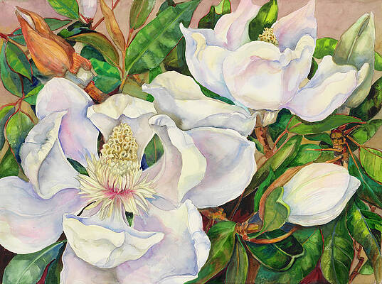 Magnolia Tree Paintings Fine Art America