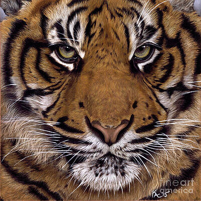 Majesty by Karie-ann Cooper Majesty by Karie-ann Cooper