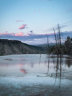 Mammoth Hot Springs Reflection Print by Danielle Bednarczyk
