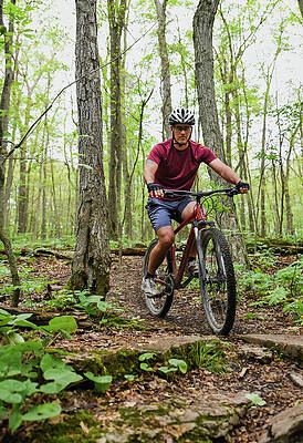 Wall Art - Photograph - Man Riding A Mountain Bike Through Forest Trails On Summer Day. by Cavan Images