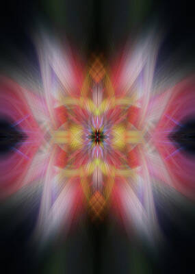 Wall Art - Photograph - MBP Twirl 127 by Marc Braner