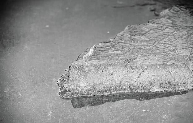 Melting by Zina Zinchik Melting by Zina Zinchik
