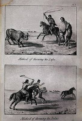 Wall Art - Drawing - Methods of Throwing the Lasso and the Bolas, from 'Travels in Chile and La Plata' - 1826. by Miers John