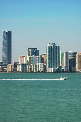 Miami Skyline - Verical Print by Thepalmer