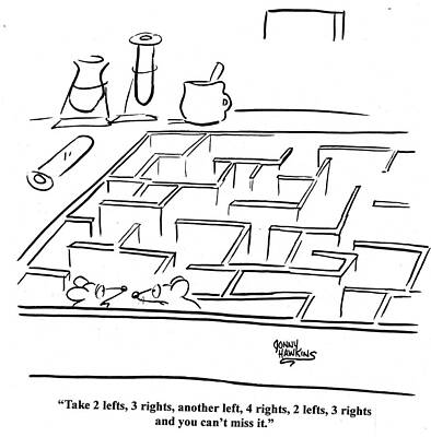 Wall Art - Drawing - Mice In Maze - 'take 2 Lefts, 3 Rights, Another Left, 4 by Jonny Hawkins