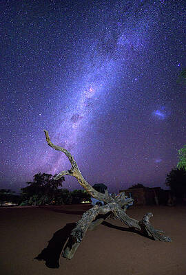 Wall Art - Photograph - Milky way over a dead tree trunk in the Namib desert of Namibia by Miroslav Liska