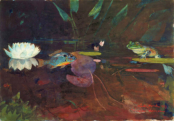 Frog Pond Paintings Fine Art America