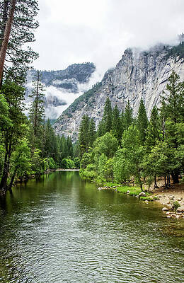 Wall Art - Photograph - Misty Mountains, Yosemite by Dawn Richards