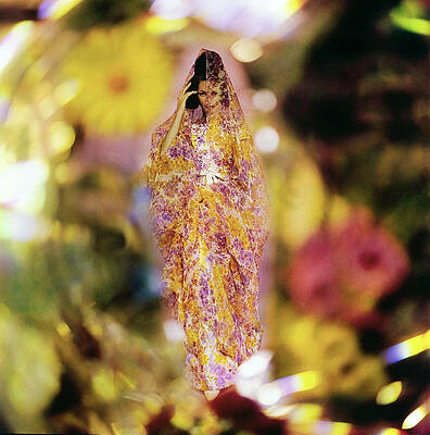 Wall Art - Photograph - Model in a Silk Dress and Shawl by Gordon Parks