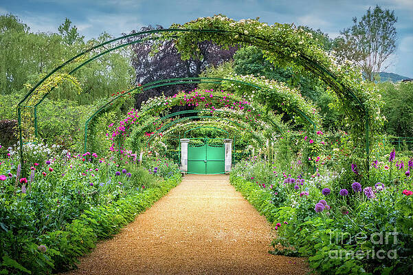Monet S Rose Arches At Giverny 3 Photograph By Liesl Walsh
