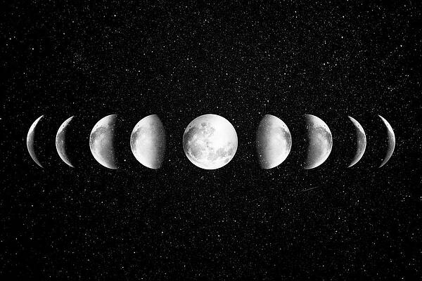 Moon Phases Art Fine Art America