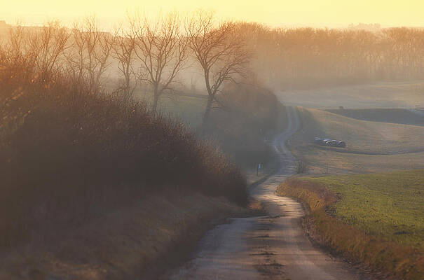 Wall Art - Photograph - Moravian Slovacko - 5512 by Garik