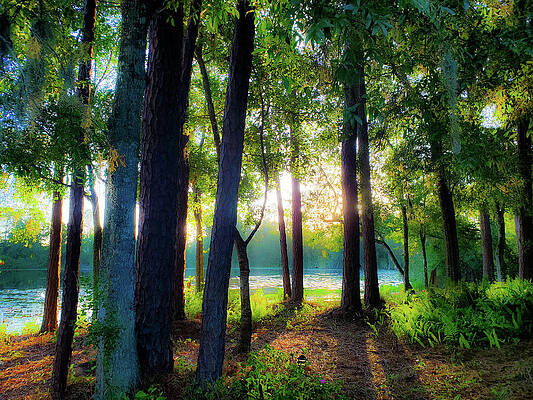 Morning Glow by Kate McTavish Morning Glow by Kate McTavish