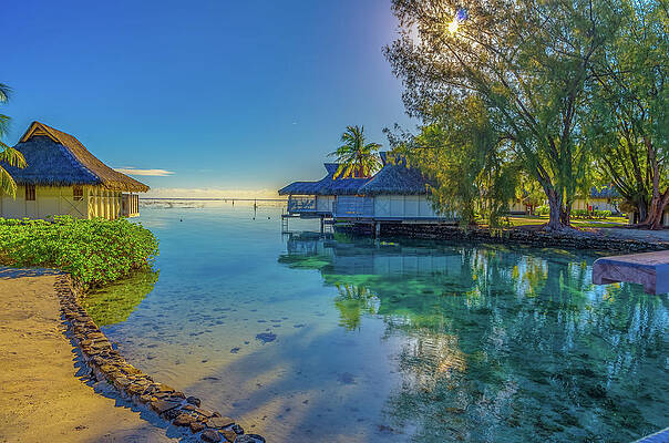 Wall Art - Photograph - Morning in the South Pacific Ocean by Scott McGuire