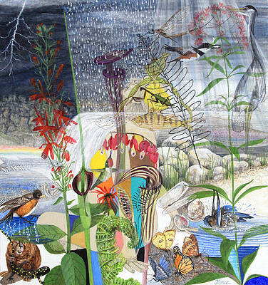 Storm Bird Paintings Page 6 Of 14 Fine Art America