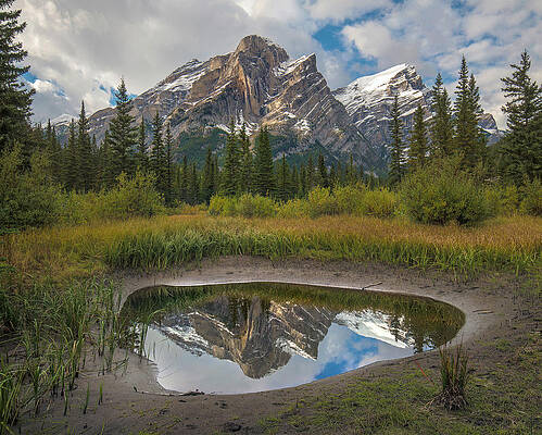 Mount Kidd Reflected In Pond, Kananaskis Country, Alberta, Canada by Tim Fitzharris Mount Kidd Reflected In Pond, Kananaskis Country, Alberta, Canada by Tim Fitzharris