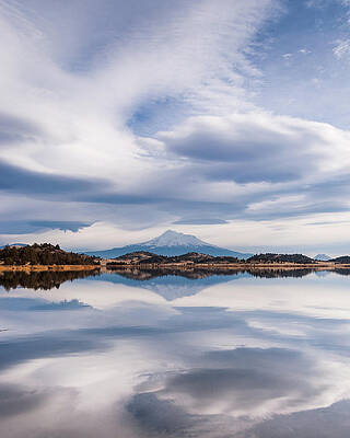 Wall Art - Photograph - Mount Shasta Over Trout Lake by Eric Leslie