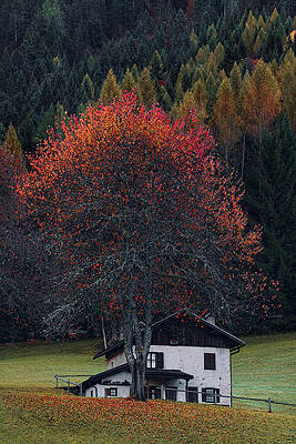 mountain home in autumn by Stefano Carella mountain home in autumn by Stefano Carella