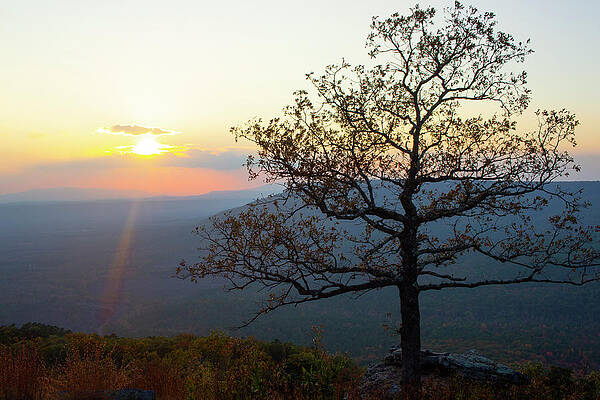 Mountaintop Sunset View by Tammy Chesney