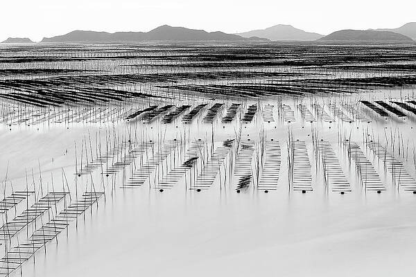 Wall Art - Photograph - Mudflats of Xiapu #2 by Yancho Sabev Art