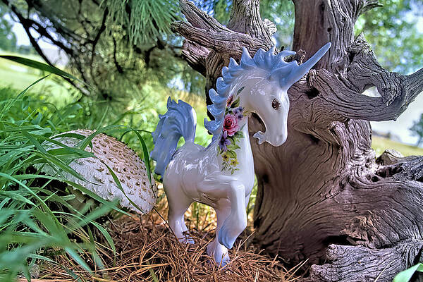 Wall Art - Photograph - Mythical by Alana Thrower