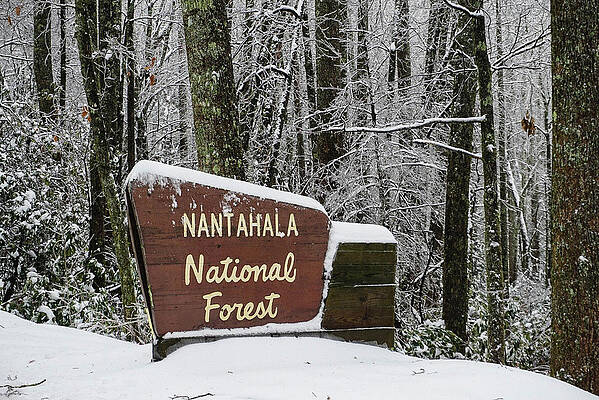 Nantahala National Forest sign in the snow by Seth Solesbee Nantahala National Forest sign in the snow by Seth Solesbee