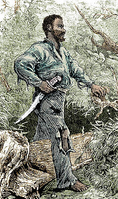 Wall Art - Photograph - Nat Turner, Rebel Slave by Science Source