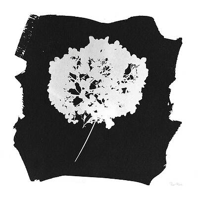 Black And White Nature Paintings Fine Art America Cover your walls with artwork and trending designs from independent artists worldwide. black and white nature paintings fine