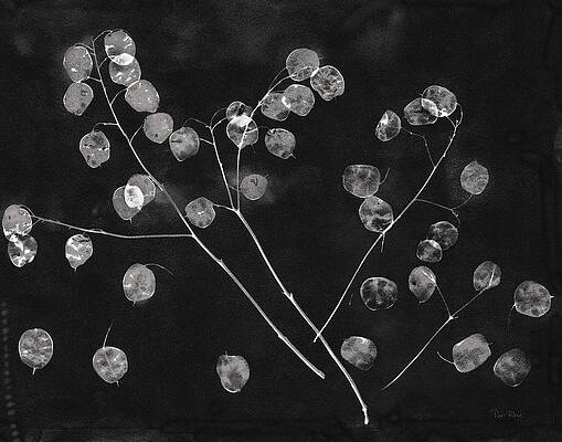 Featured image of post Nature Simple Black And White Paintings Easy : White photos pexels stock fine art with black white winner 25 easy painting ideas for ners on convert a color image to black and.