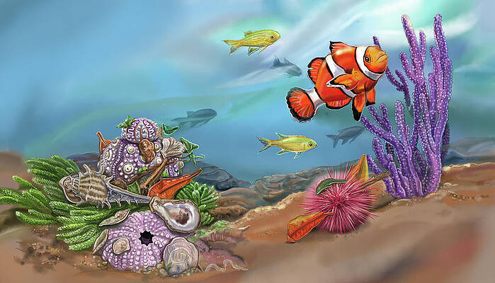 Coral Reef Paintings Fine Art America