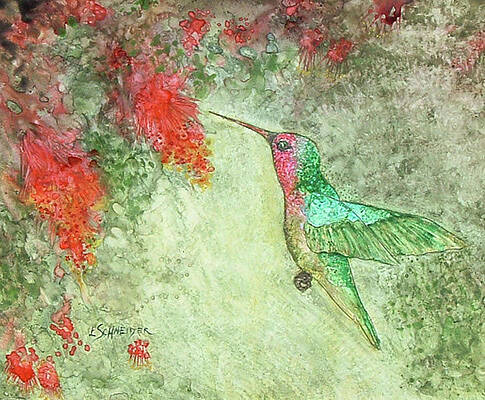 Nature's Little Helper by Edie Schneider Nature's Little Helper by Edie Schneider