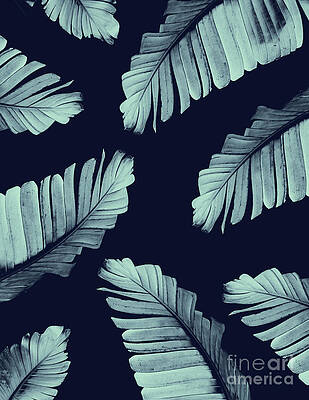 Banana Leaf Mixed Media Fine Art America