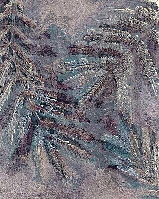 Winter Ferns by Linda Nichols