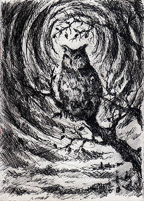 Wall Art - Drawing - Night Owl by William Russell Nowicki