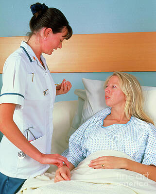 Wall Art - Photograph - Nurse Taking Pulse Of Woman In Hospital Bed by Science Photo Library