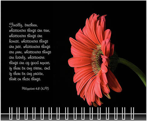 Wall Art - Photograph - October Inspirational 2019 Calendar Preview by Joni Eskridge