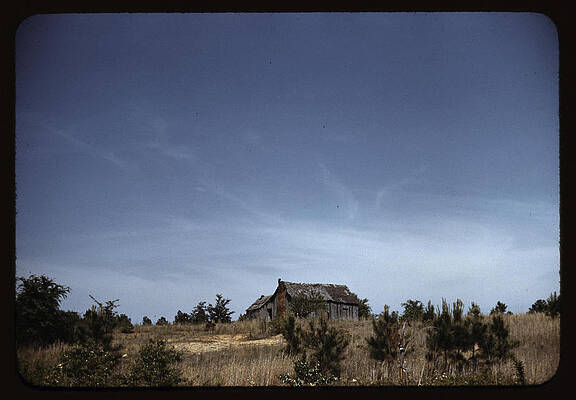 Wall Art - Painting - Old Southern Cabin by Wolcott, Marion Post