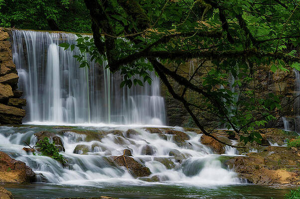 Oldest Dam in Tennessee on Big Creek by Dee Browning Oldest Dam in Tennessee on Big Creek by Dee Browning