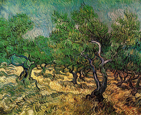 Wall Art - Painting - Olive Grove [2] by