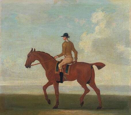 Wall Art - Painting - One Of Four Portraits Of Horses, A Chestnut Racehorse by James Seymour