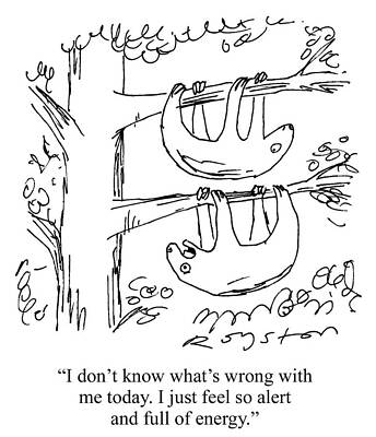 Wall Art - Drawing - One Sloth To Another Sloth 'i Don't Know What's Wrong by Royston Robertson