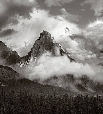 Wall Art - Photograph - Opal Range Surrounded By Fog Alberta by Tim Fitzharris