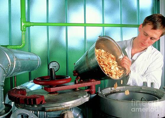 Wall Art - Photograph - Operator Loading A Machine For Pulp Manufacture by Science Photo Library