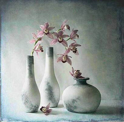 Wall Art - Photograph - Orchid Mood by Fangping Zhou