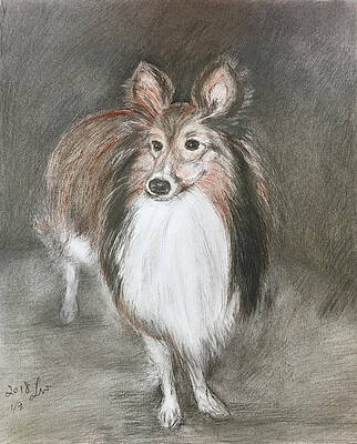 Our friend Xiaomu by WEI LI